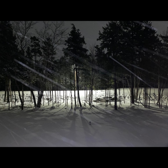 Meet your Posher, Tara - Picture 1 of 1